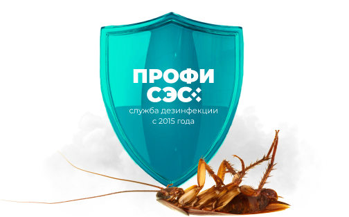 Уничтожение тараканов в Дмитрове — забудьте о «усатых» навсегда